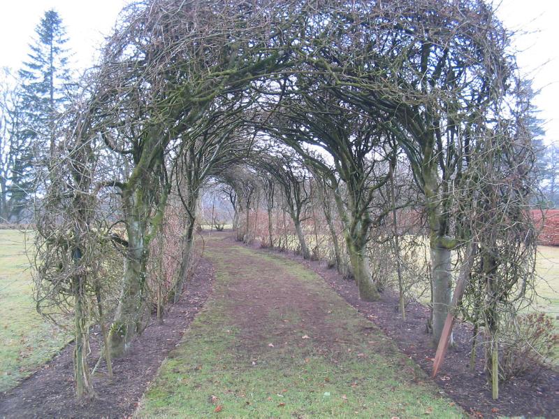 AIRLIE CASTLE