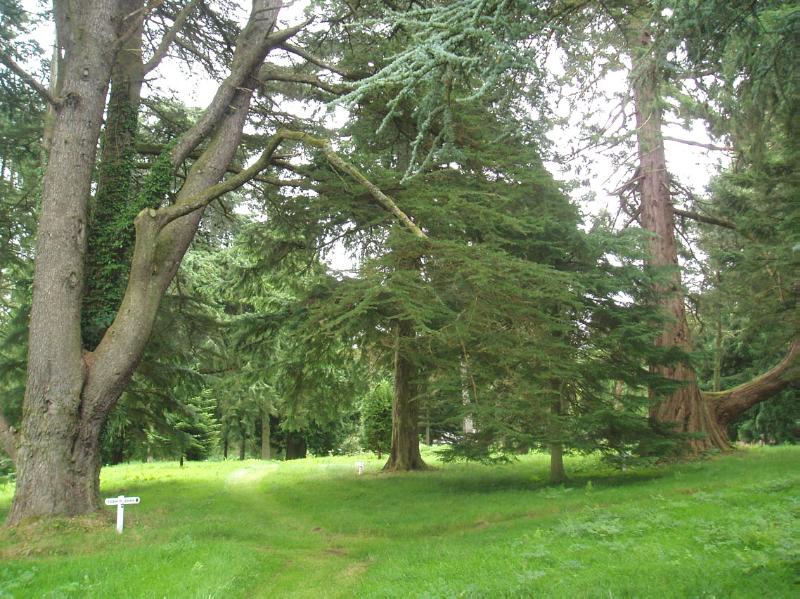 BLAIRQUHAN