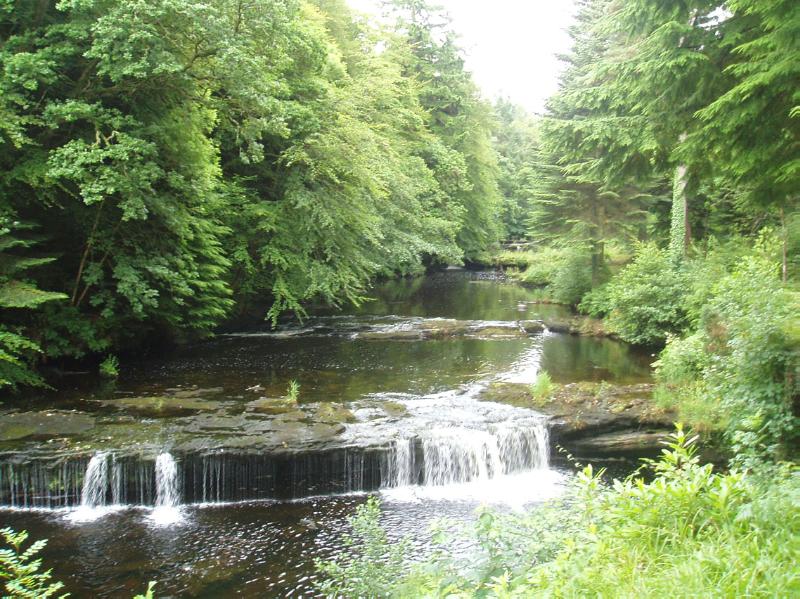 BLAIRQUHAN