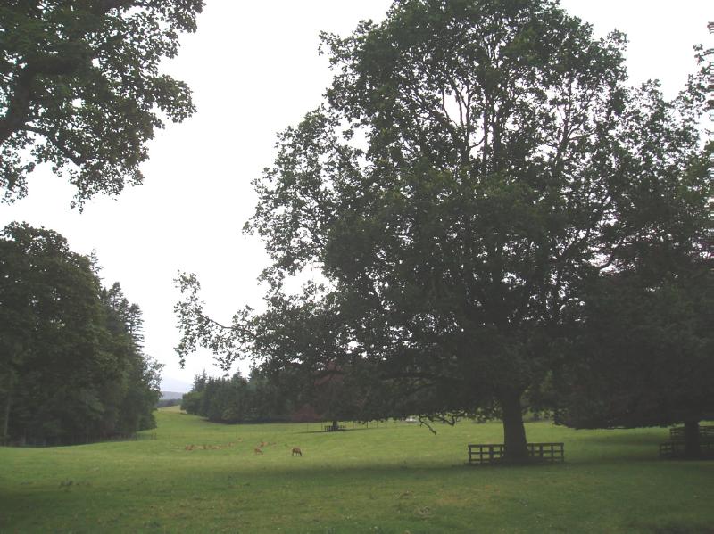 BLAIR CASTLE