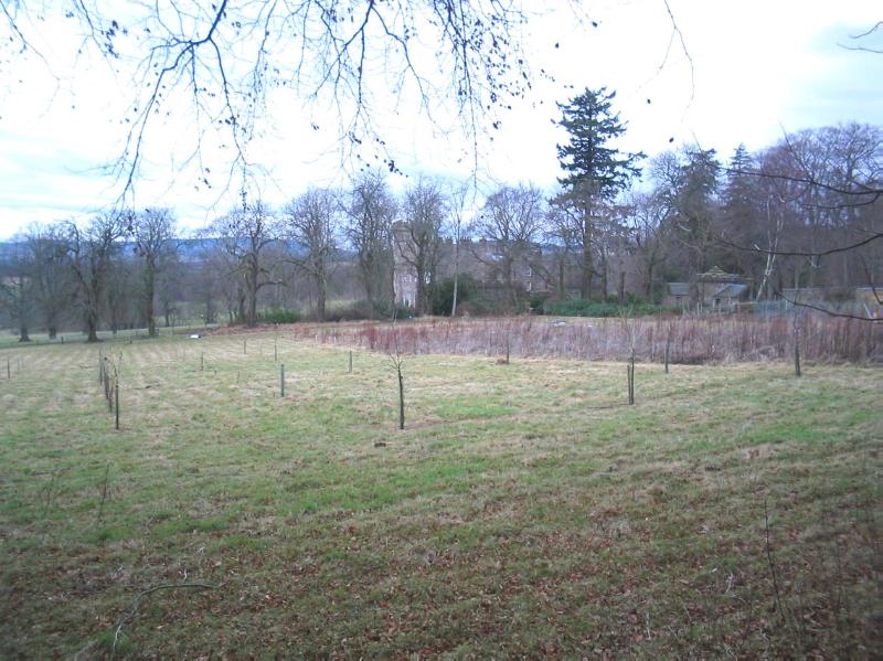 CASTLE FORBES