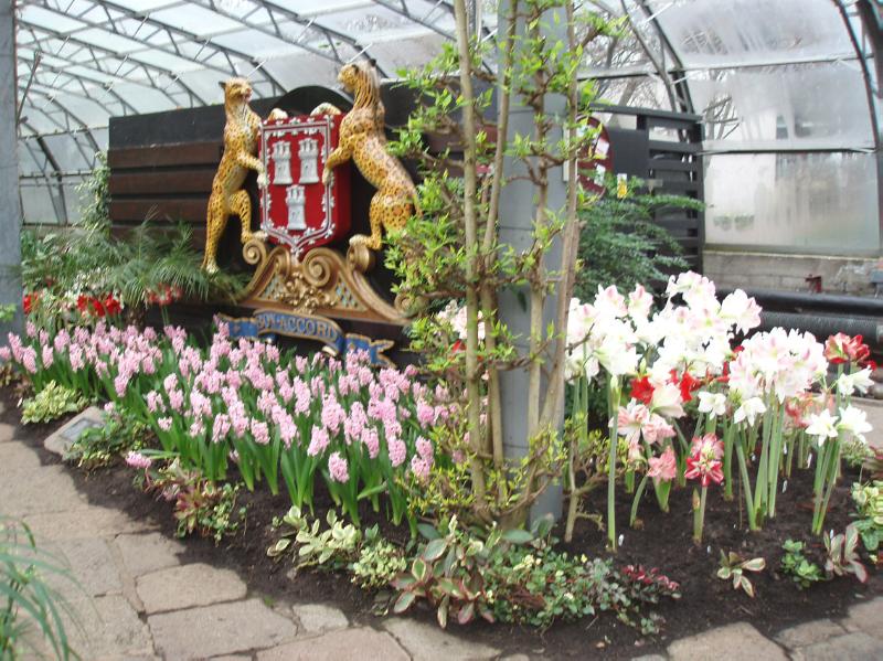 DUTHIE PARK