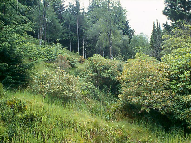 CORROUR LODGE