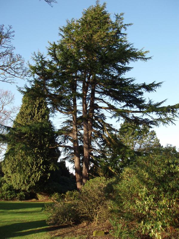 DUNDAS CASTLE