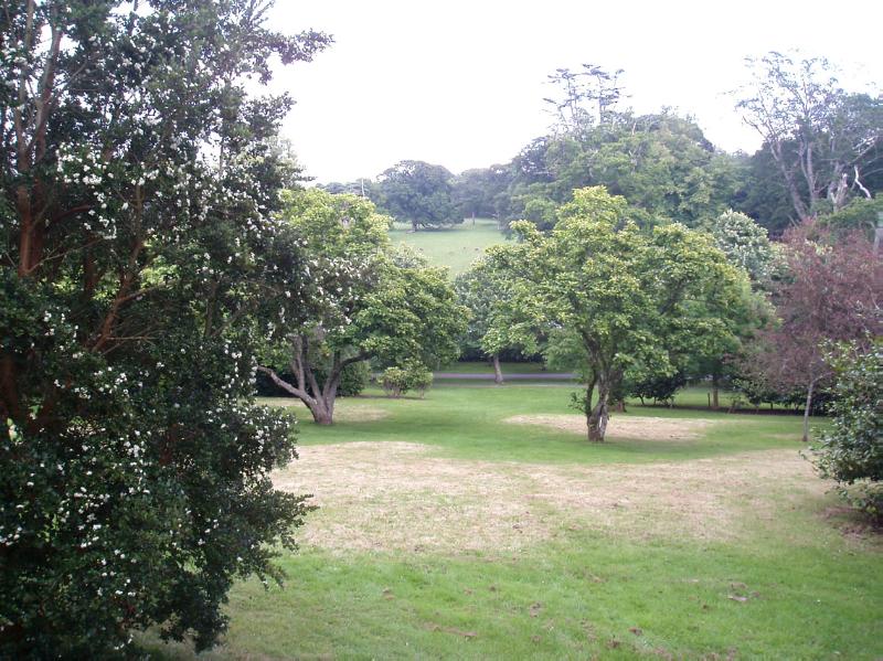 CULZEAN CASTLE