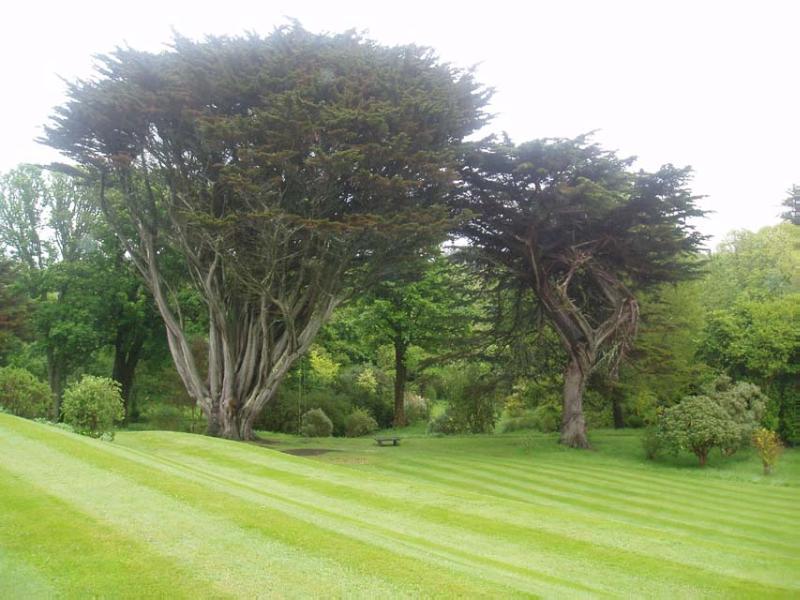 COLONSAY HOUSE