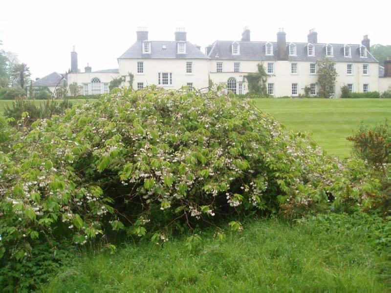 COLONSAY HOUSE