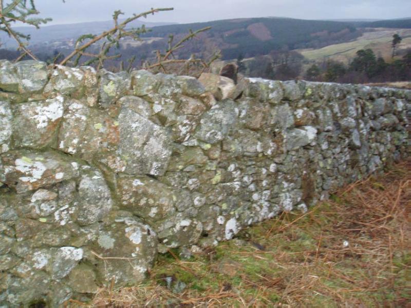 CRAIGENGILLAN