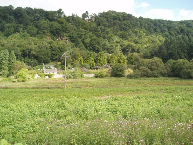 CASTLE MENZIES