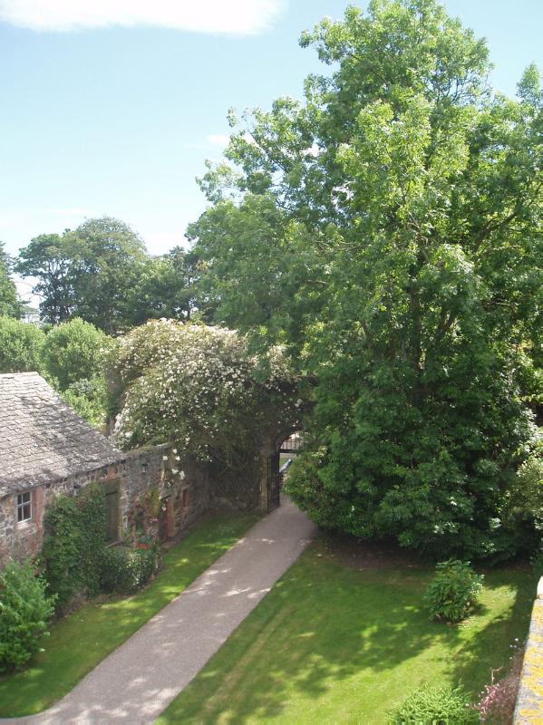 CRAIG HOUSE