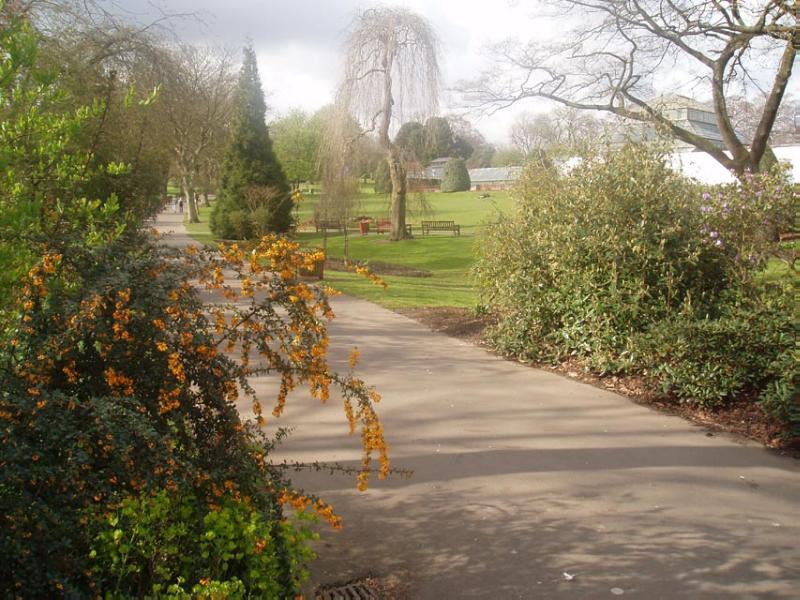 GLASGOW BOTANIC GARDENS