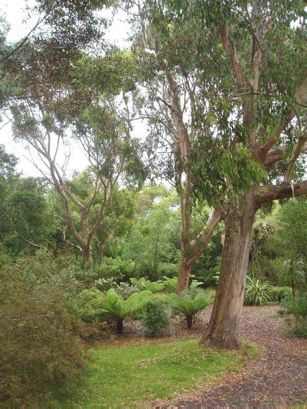 LOGAN BOTANIC GARDEN