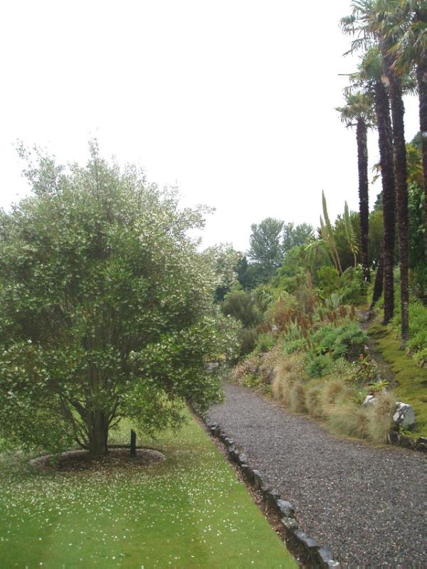 LOGAN BOTANIC GARDEN