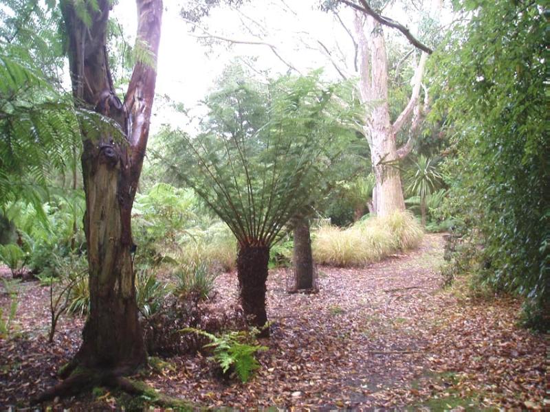 LOGAN BOTANIC GARDEN