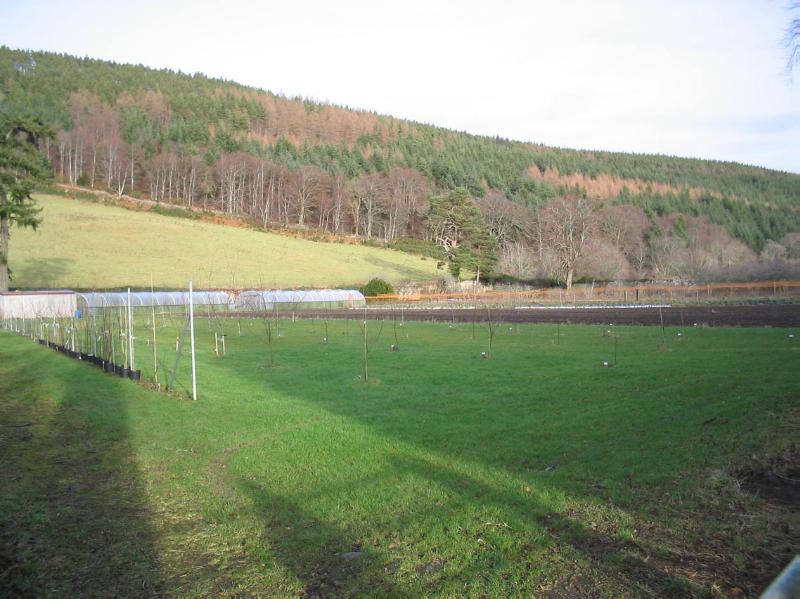 PLUSCARDEN ABBEY (PRIORY)