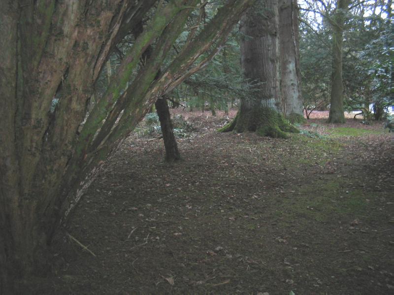 STRALOCH