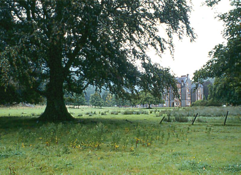 KINLOCHMOIDART