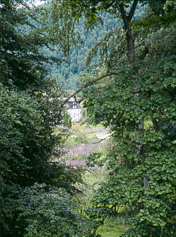 KINRARA