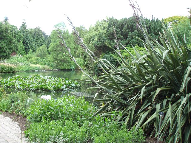 ROYAL BOTANIC GARDEN, EDINBURGH