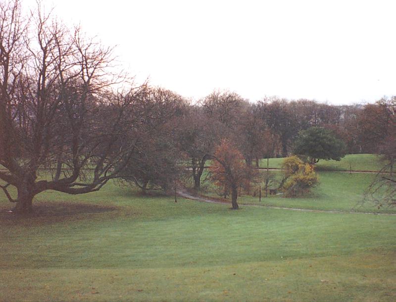 THE NEW TOWN GARDENS