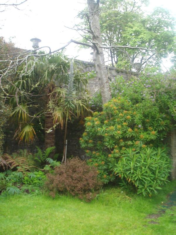 TOROSAY CASTLE (DUART HOUSE)