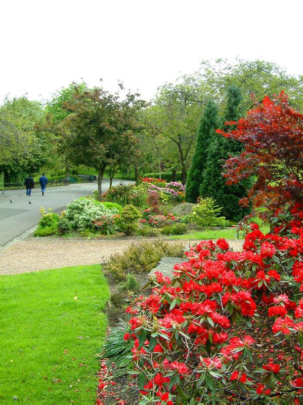 KELVINGROVE PARK