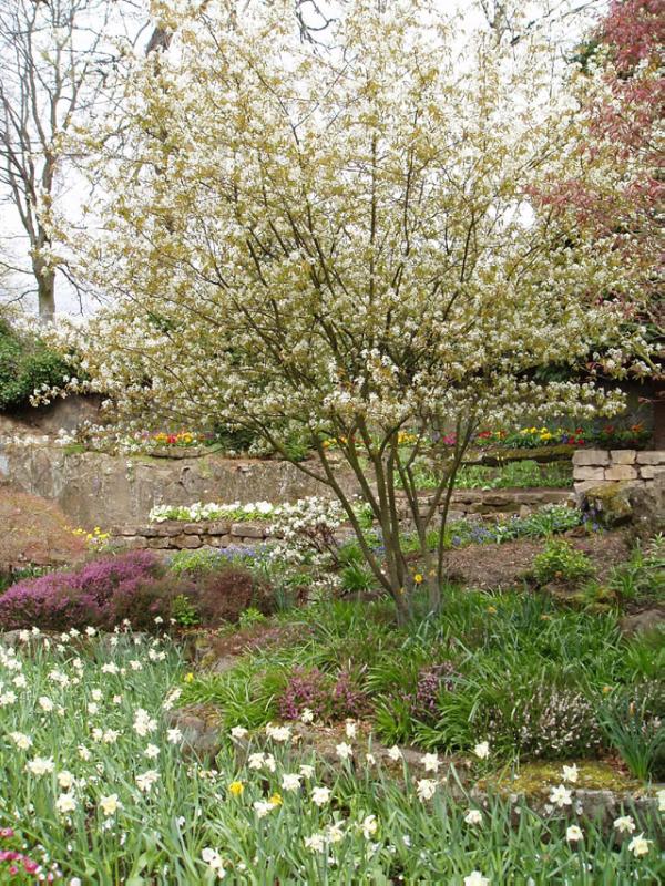 VICTORIA PARK
