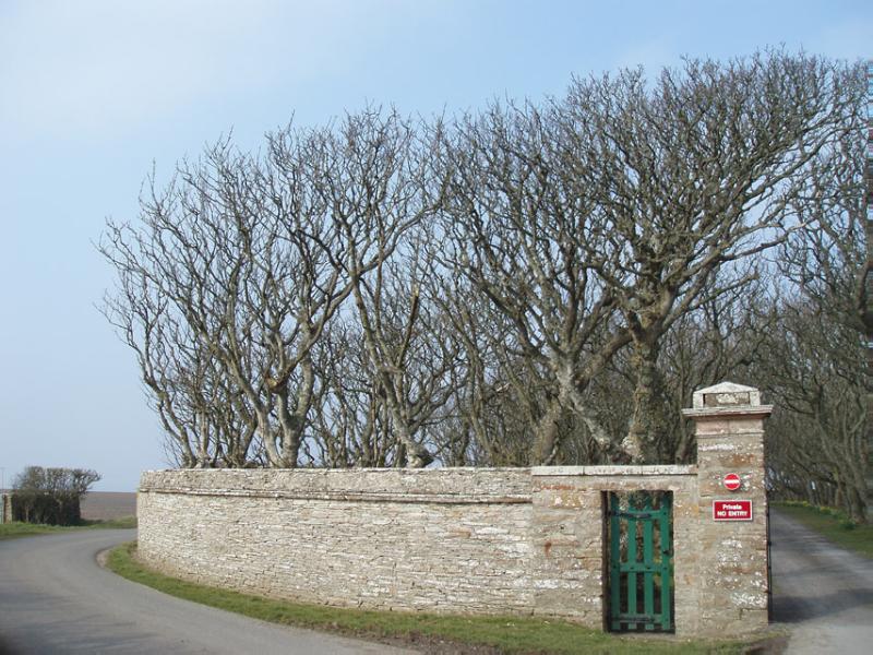 CASTLE OF MEY (BARROGILL CASTLE)