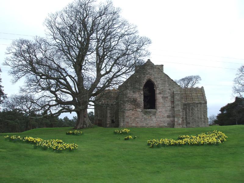 DUNGLASS