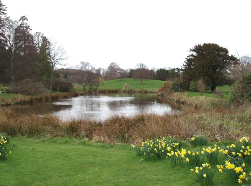 DUNGLASS