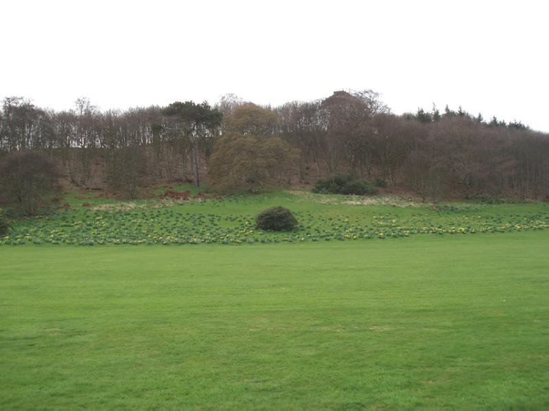 DUNGLASS