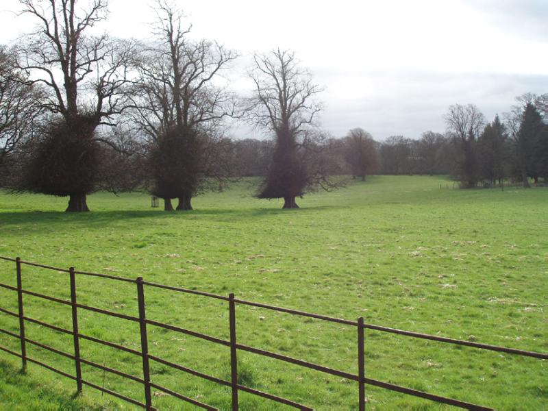 NEWLISTON