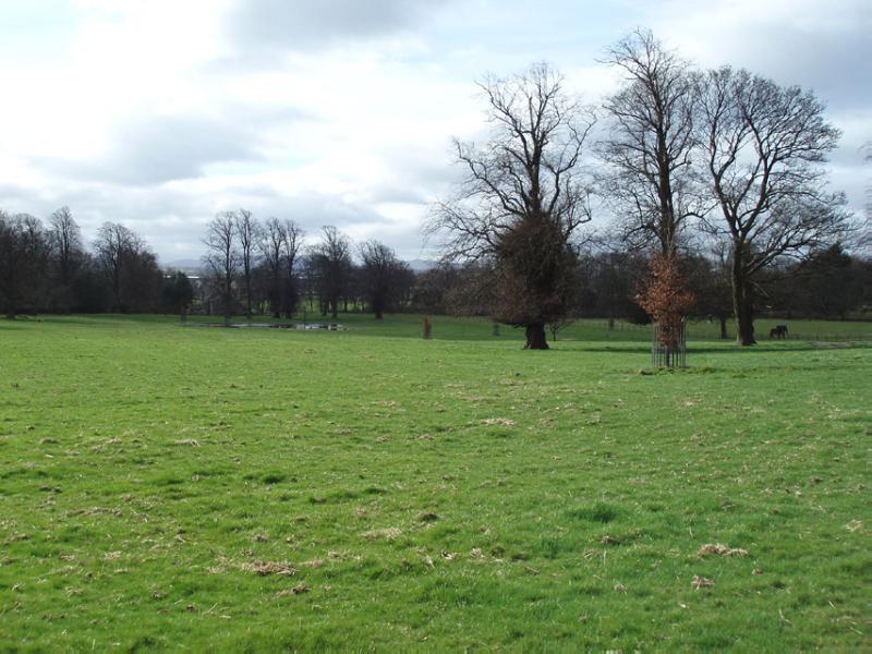 NEWLISTON