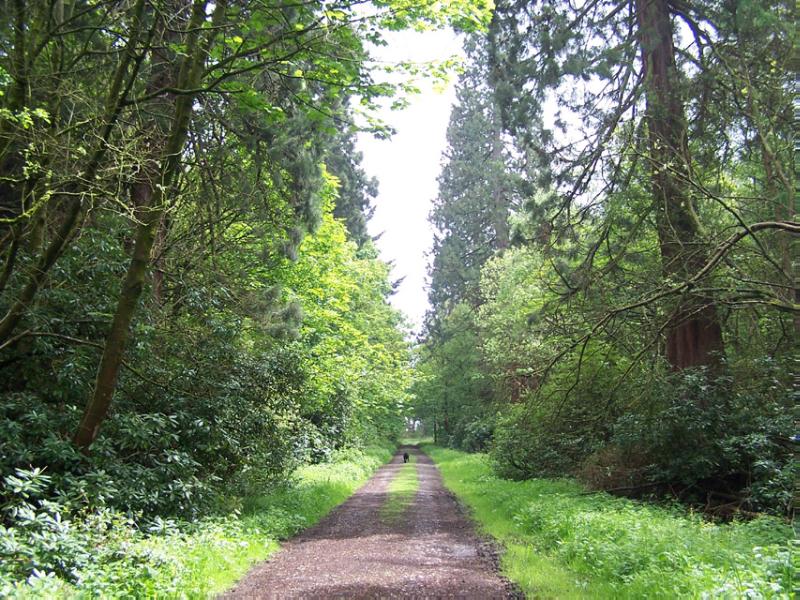 DUNMORE PARK