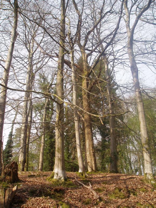 OVERTOUN HOUSE