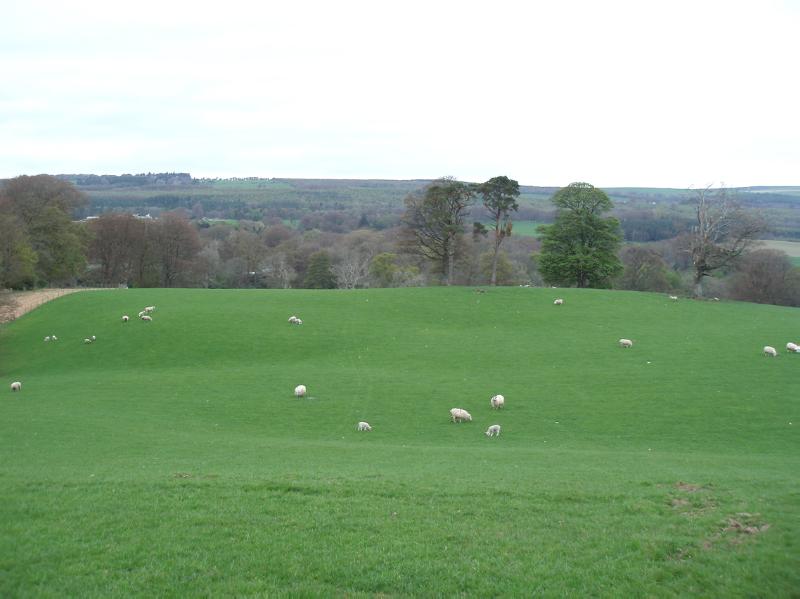 BARGANY