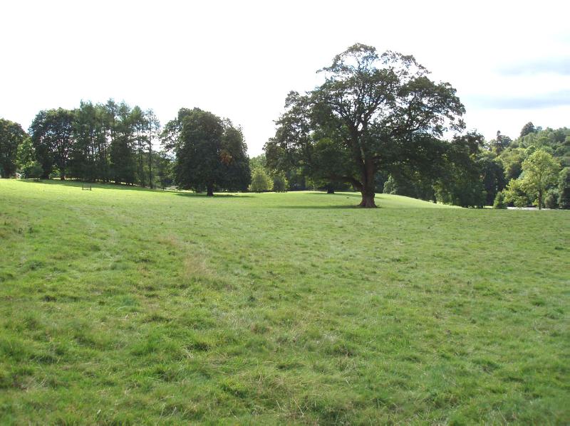 KIPPENROSS