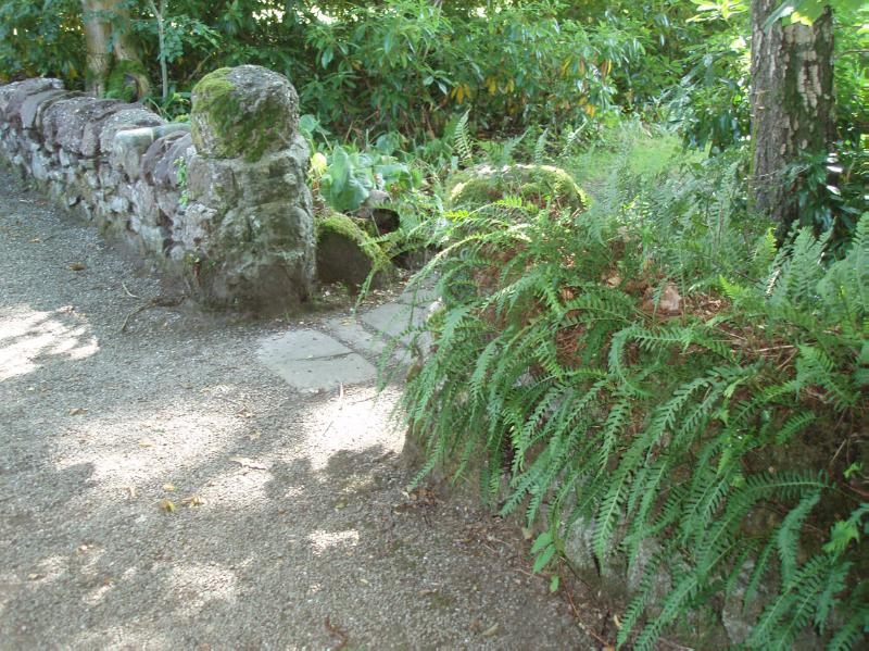THE ROMAN CAMP