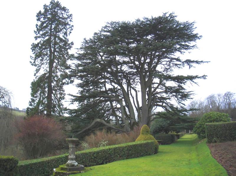 ARBUTHNOTT HOUSE