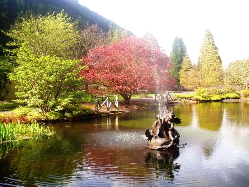 BENMORE (YOUNGER BOTANIC GARDEN)