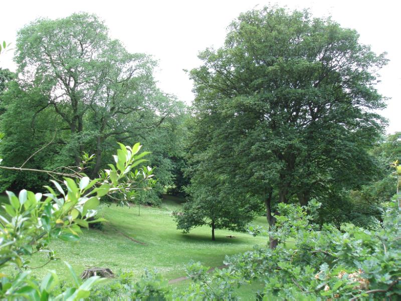 THE NEW TOWN GARDENS