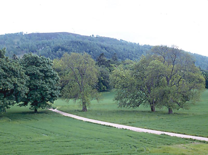 DOUNE OF ROTHIEMURCHUS