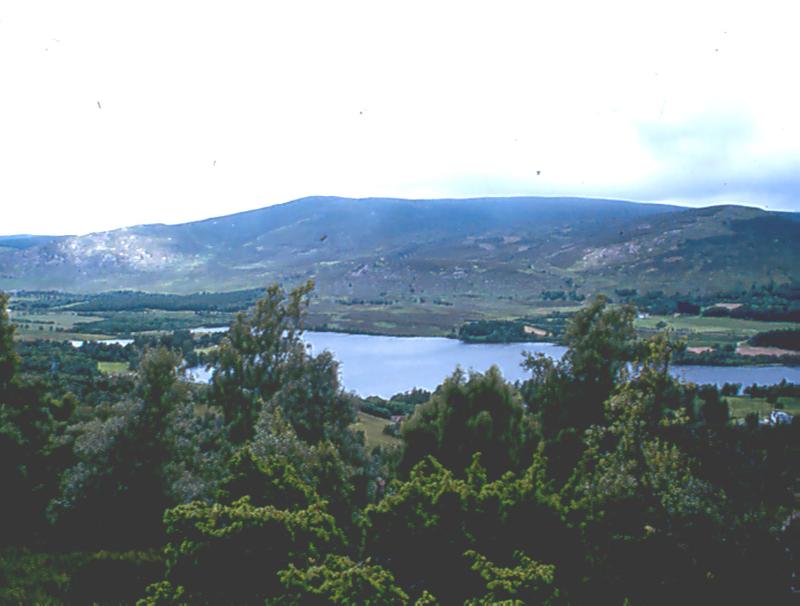 KINRARA