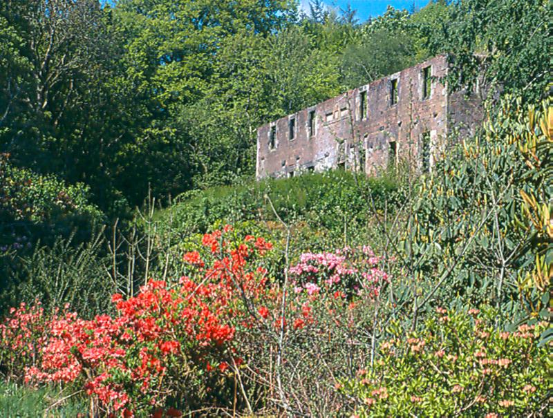 LARACH MOR