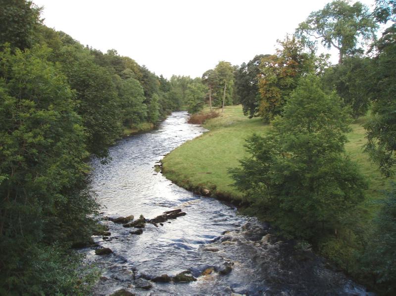 KIPPENROSS