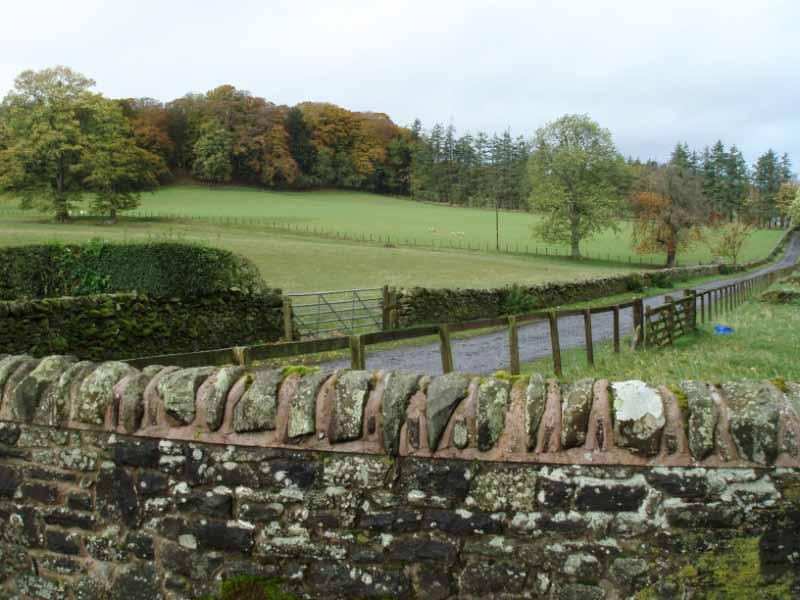 BOWLAND