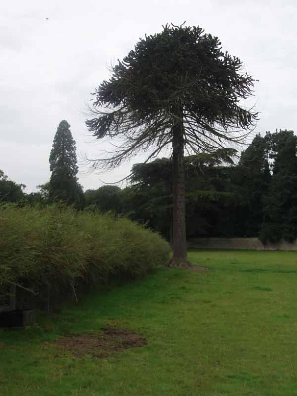 HENDERSYDE PARK