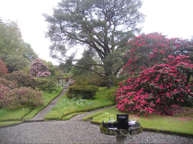 GLENARN