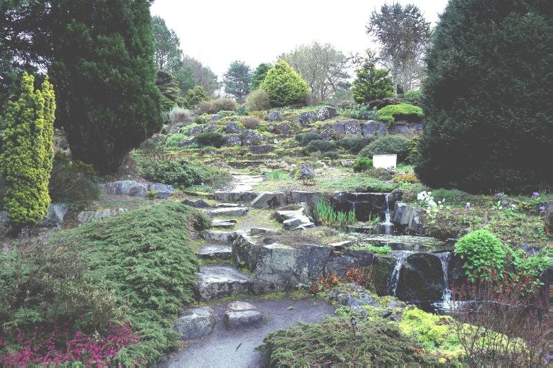 St Andrews Botanic Garden, trees to left and right, rocks and water in centre, white sky above. 