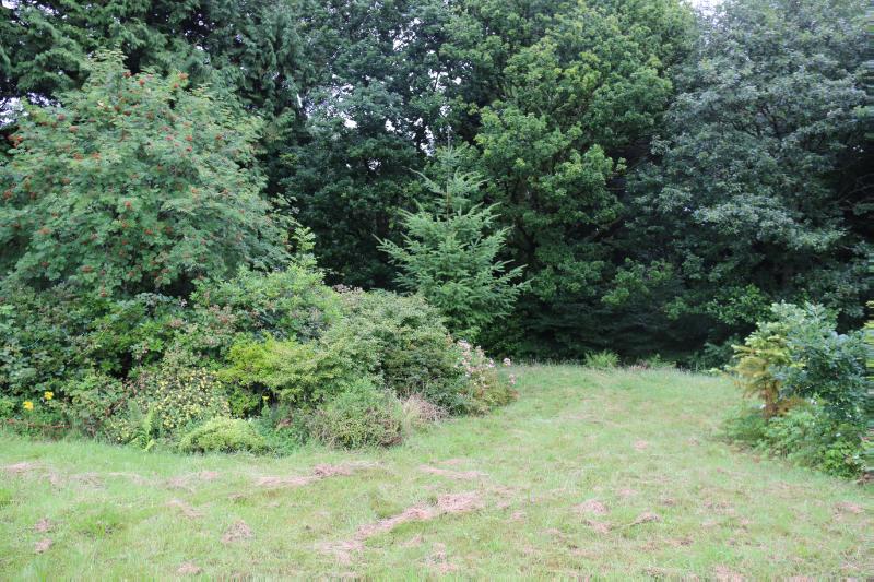 Barnhourie Mill island bed on rainy day with grass in front and trees behind. 